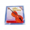 Violin family Strings