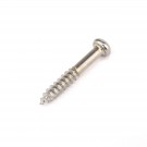 Musiclily 25MM Tremolo Mounting Screw, Chrome
