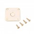 Musiclily Pro Metal Flat Bottom Square Jack Plate for Epiphone Gibson Les Paul Style Guitar, Gold