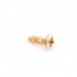 Musiclily Pro Countersunk Guitar Pickguard Mounting Screws for Epiphone, Gold (Set of 20)