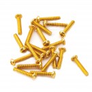 Musiclily Basic 3.5x20mm Metal Metric Thread Strat Style Single Coil Pickup Mounting Screws for Stratocaster ST Electric Guitar, Gold(Set of 20) 
