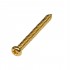 Musiclily Basic 2,6x26mm Metal Metric Thread Guitar Pickup Wood Mounting Screws for Single Coil / Humbucker Pickups, Gold(Set of 20) 