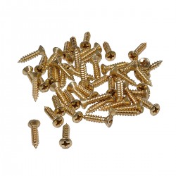 Musiclily Ultra 2.8x12.3mm Stainless Steel Pickguard Mounting Screws for Fender Stratocaster Telecaster Electric Guitar or Bass,Gold(Set of 50)