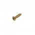 Musiclily Ultra 2.8x12.3mm Stainless Steel Pickguard Mounting Screws for Fender Stratocaster Telecaster Electric Guitar or Bass,Gold(Set of 50)