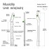 Musiclily Pro 21 Frets Maple TL-Style Guitar Neck Replacement 9.5" Radius, Unfinished